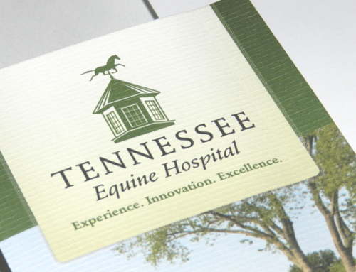 Tennessee Equine Hospital Identity Package